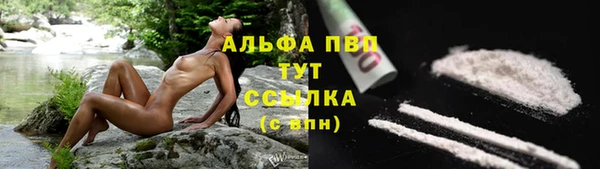 мдпв Богданович