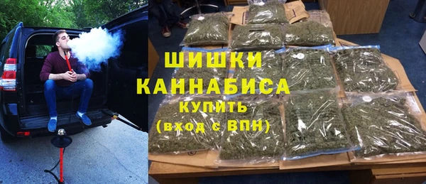 гашик Дубна