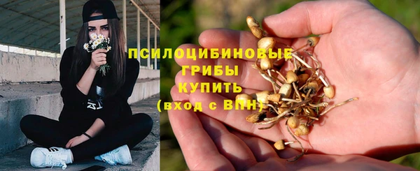 марки nbome Дрезна
