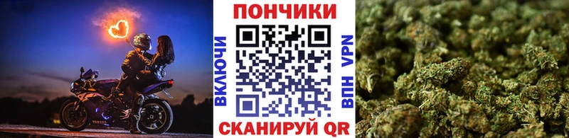 ОМГ ОМГ как зайти  Бородино  Бошки марихуана THC 21% 